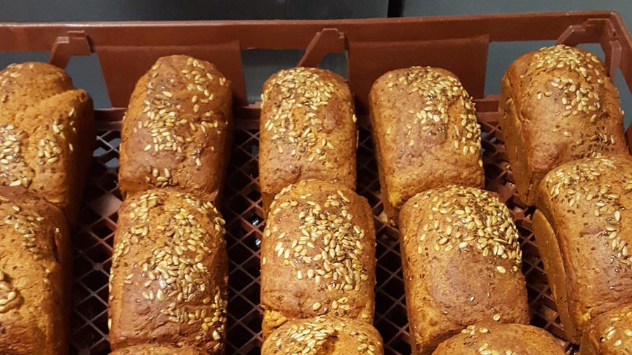 Floresta dd cup keyhole back one piece