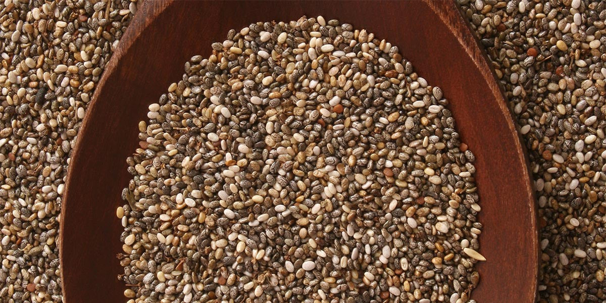 Floresta dd cup keyhole back one piece Test Nita